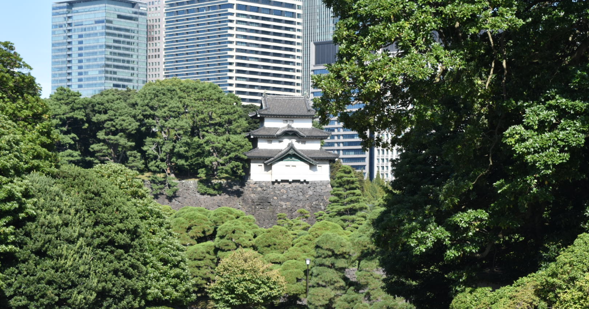 NHK ブラタモリ 青山通りの秘密とは？江戸時代の大山街道や大名屋敷の痕跡を発見！2025年6月14日 - 気になるNHK