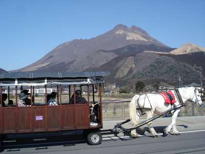 観光辻馬車田園風景の中を走る馬車で、由布院をのんびり散策 湯布院たびらい