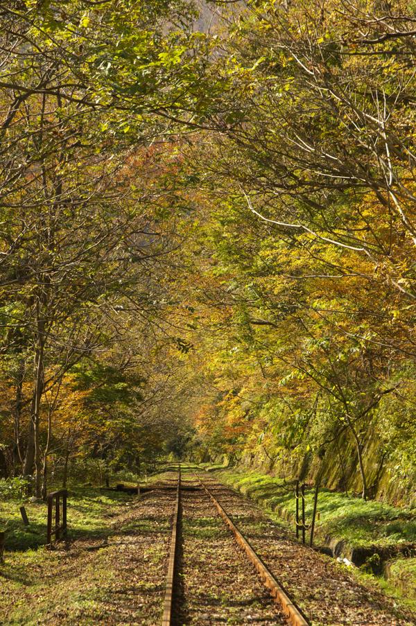 カオスな神岡！東洋一の鉱山が造り出した街飛騨さんぽほんのひととき