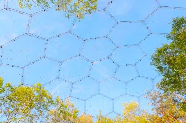 那須の透明ドームテントでグランピング体験