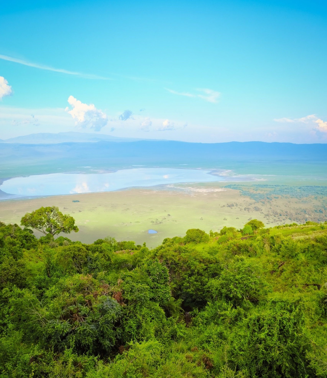 タンザニア・ンゴロンゴロ・ウオシュド – TOKUSHIMA COFFEE