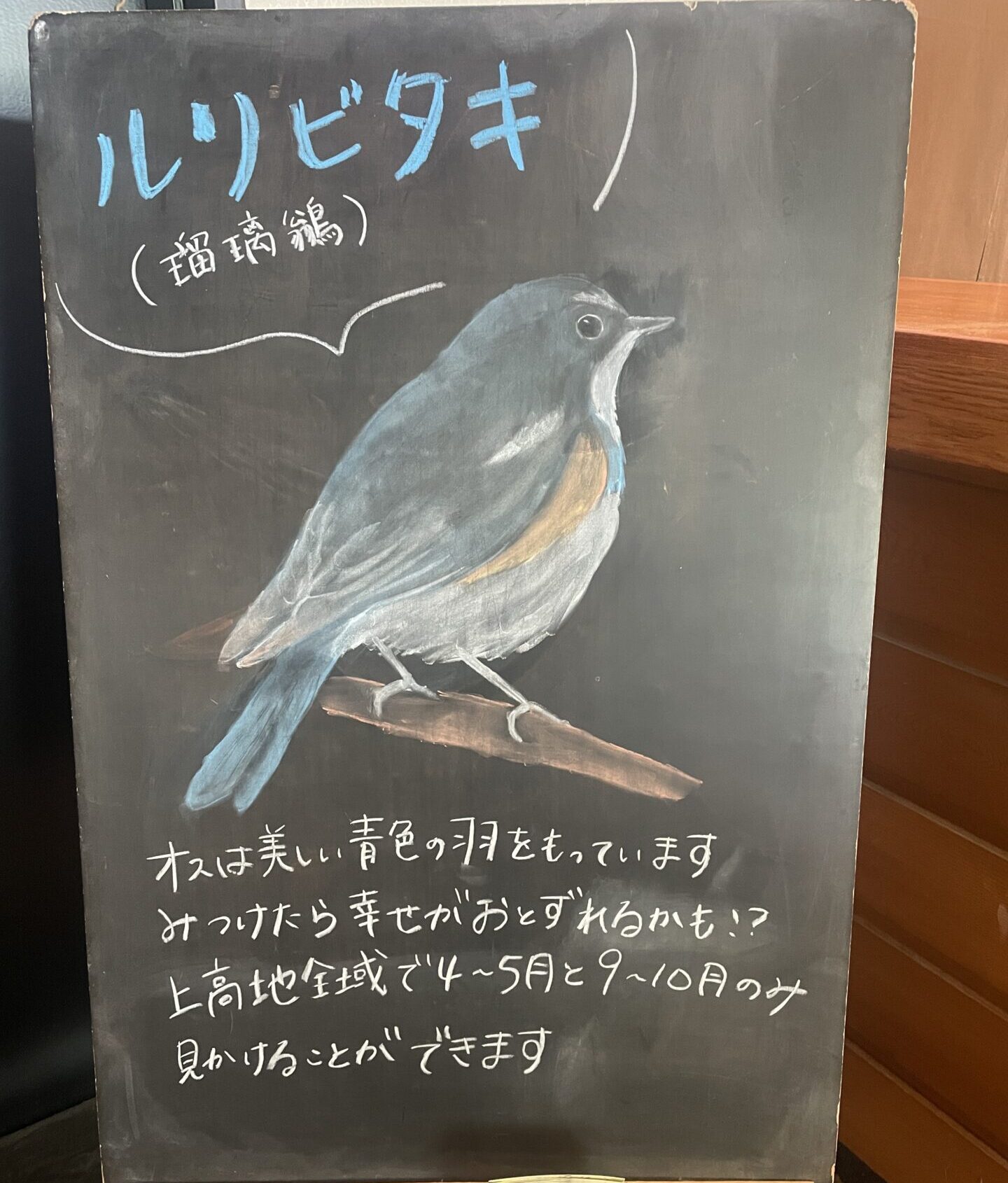 ショウキラン アーカイブ -