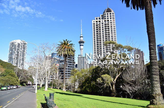 H.I.S. スカイタワーバンジージャンプオークランド ニュージーランドのオプショナルツアー海外現地ツアー格安予約