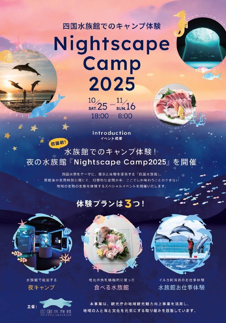 カーディフ城の入場券 2025