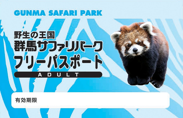 世界最古のコースター？！ メルボルンの遊園地ルナ・パークの楽しみ方ロコタビ