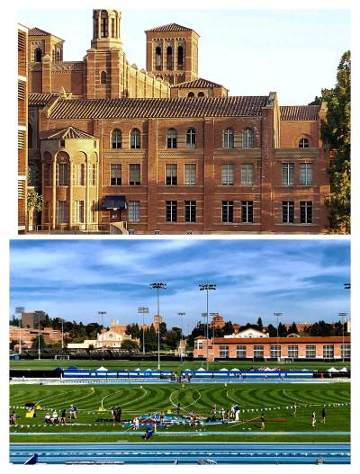 TCLチャイニーズシアター クチコミ・アクセス・営業時間ロサンゼルス フォートラベル