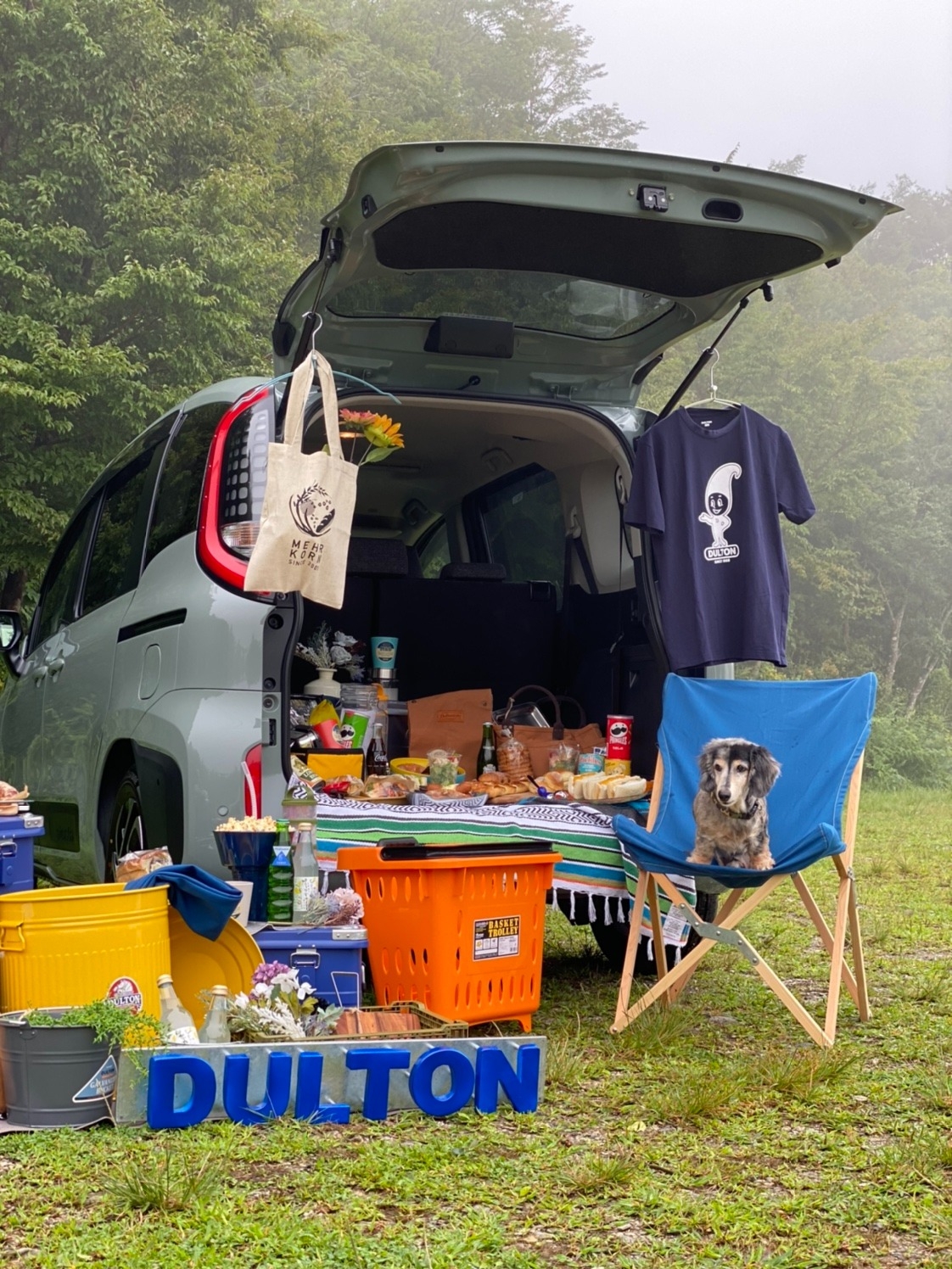 新型シエンタの楽しい使い“カタ”🎨🌈