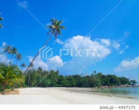 ビンタン島地図