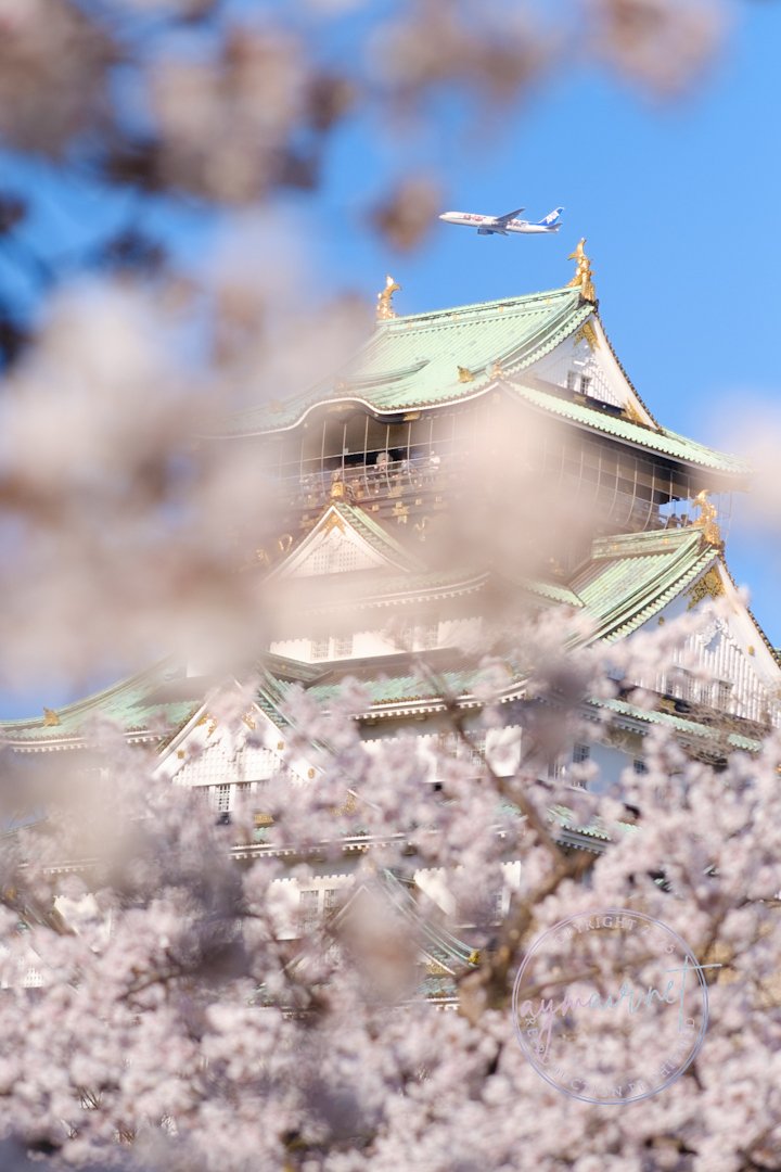 四季を感じるフォトジェニックな日本の城8選 - Japan Travel Planner