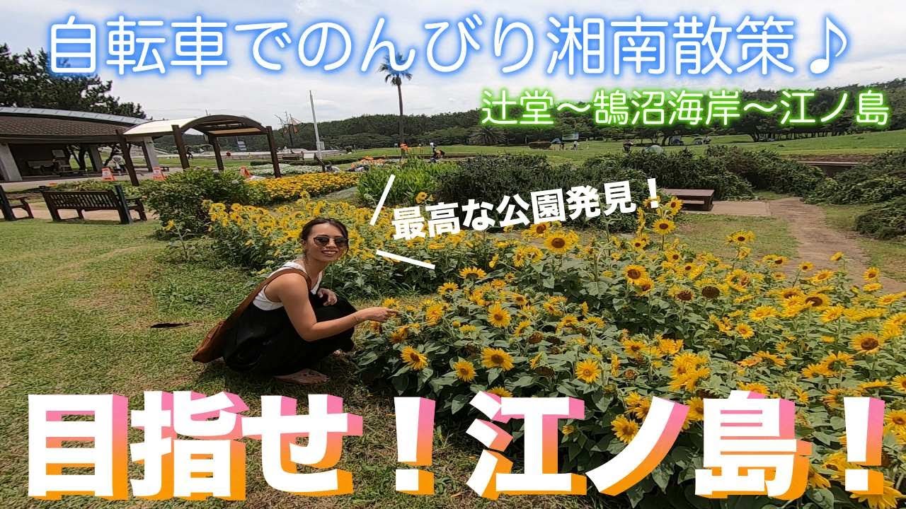 鵠沼：継承していきたい風景オリーブ便り