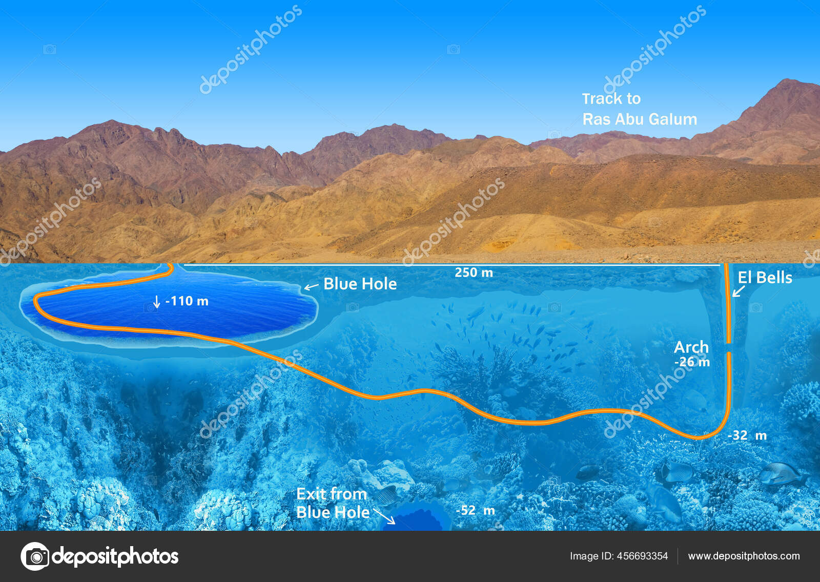 紅海ダイビング！海中絶景写真館世界一周フォトたび