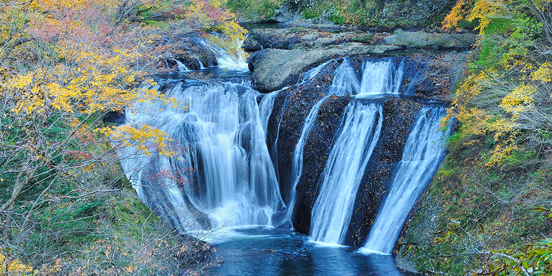 鹿島観光ツーリスト株式会社 鹿島観光自動車株式会社@kashimakkk• Instagram photos