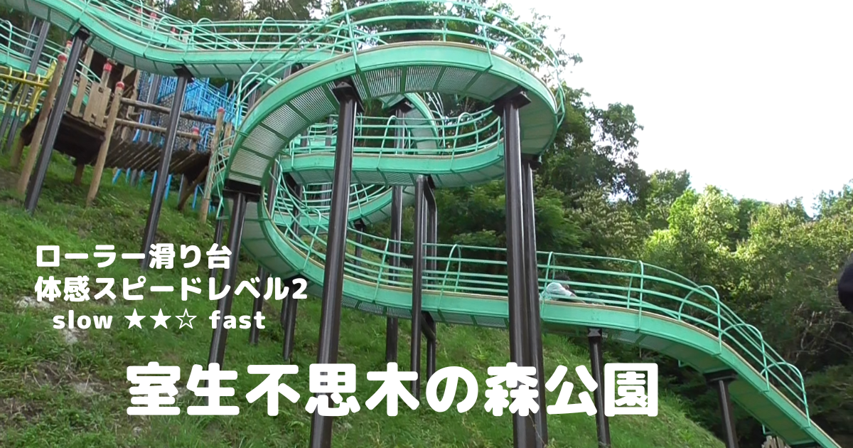 千葉県最長109m！昭和の森のローラー滑り台に挑戦してきた 口コミ体験談千葉県のローカルメディア「チイコミ！by ちいき新聞」