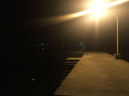 スーさんのワクワク釣行！！夜釣りin天草釣具のポイント