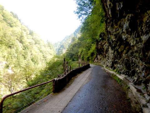 黒部峡谷トロッコ電車』に乗って、新緑・紅葉めぐり。観光情報特集「TOYAMA STYLE」VISIT富山県