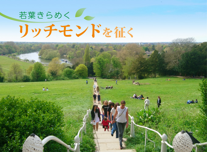 ロンドンの穴場観光地 セレブが暮らすリッチモンド！大自然と鹿に癒された～