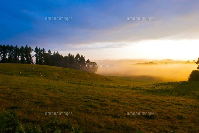 クラフティリムーザンフランスリムーザン地方 の 伝統菓子