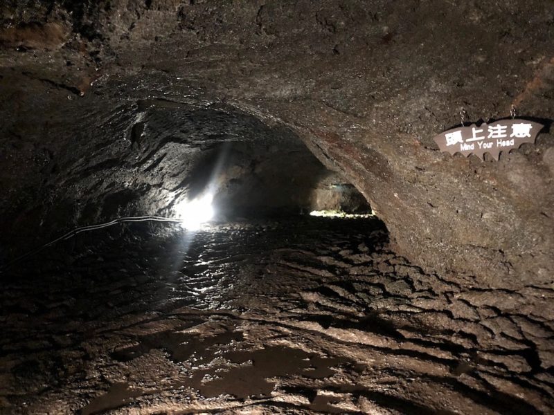 鳴沢村-2023-10 西湖野鳥の森公園 エリア ハイキング &