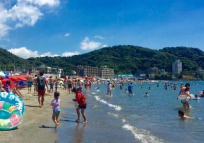4年ぶり規制なしで海開き「コロナ禍以前の人出を期待」 神奈川・逗子海岸：東京新聞デジタル