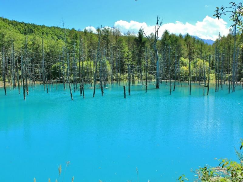 厳選 北海道のインスタ映えスポット10選！フォトジェニックな大自然GOOPASS TRAVEL MAGAZINE