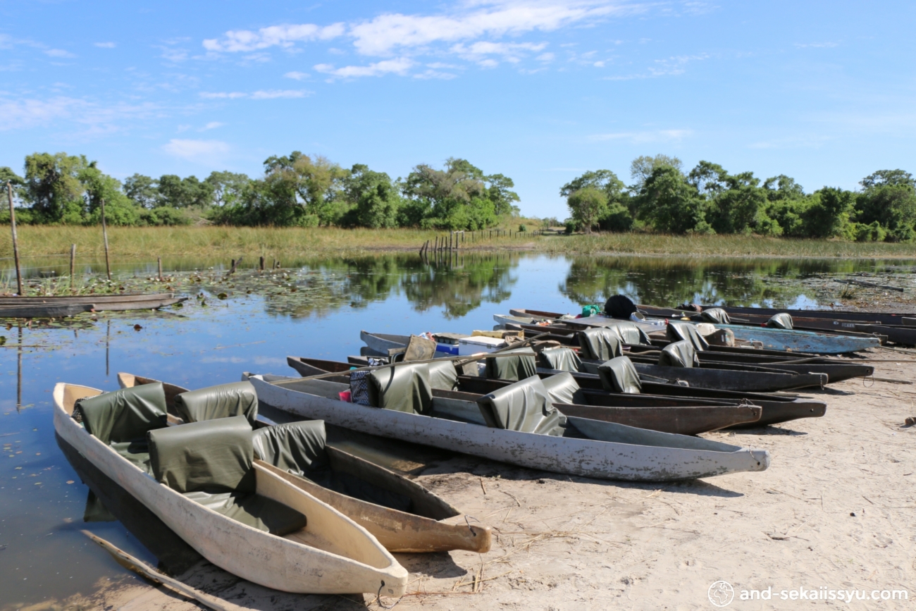 世界遺産「オカバンゴ デルタ」の草原をイメージしたグリーンダイアルを備える オリス