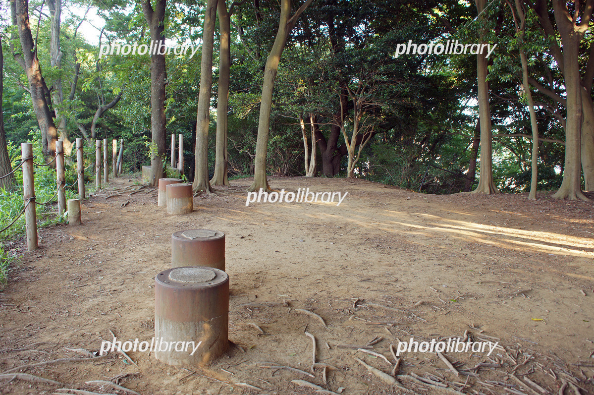 武蔵日野 分倍河原河川敷周辺を舞台とする数々の歴史的な合戦に近接した著名な高幡不動尊と共にひっそりと時代の流れを見守る『高幡城』訪問』日野・昭島 東京 の旅行記・ブログby