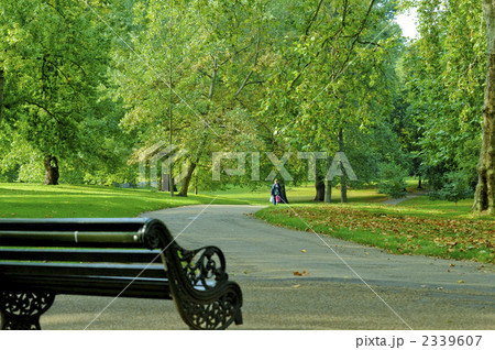 緑豊かな公園のベンチ、ヨーロッパの古い町、誰もいない。夏の観光と旅行、ヨーロッパの有名なランドマーク、観光客に人気の場所Premium写真