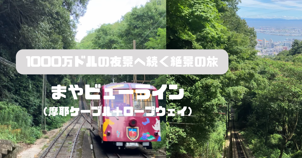 まやビューラインに乗って、いざ摩耶山へ！『掬星台』からの絶景やランチを楽しんできた 神戸市 - Yahoo! JAPAN