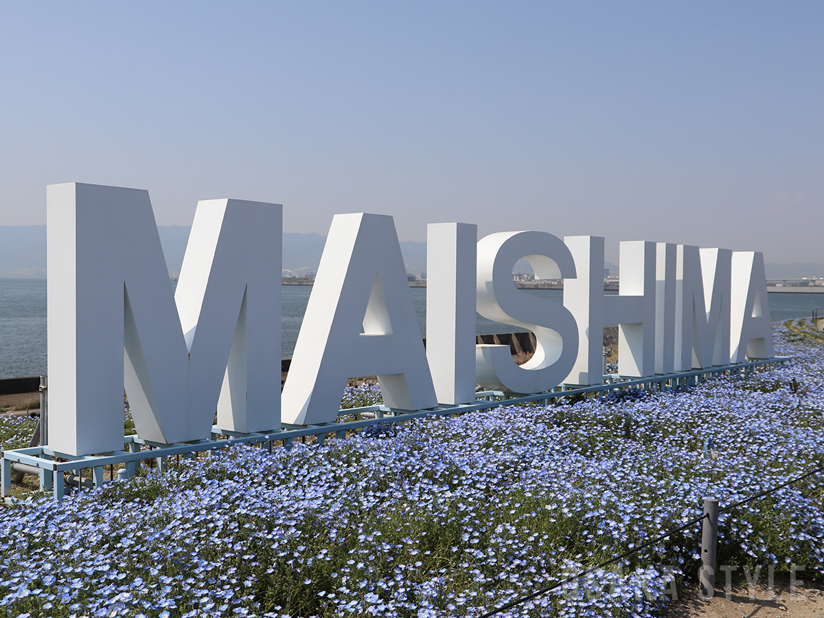 大阪まいしまシーサイドパーク 2030 ネモフィラ・公園・海・24時間ロケ地検索・撮影サポートのロケステーション