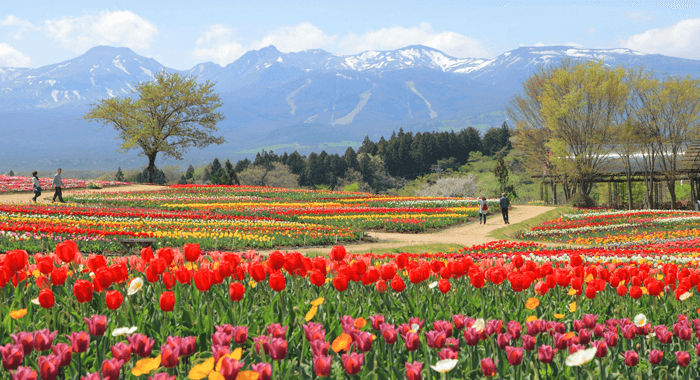 那須珍スポットツーリング - ゆに昆布
