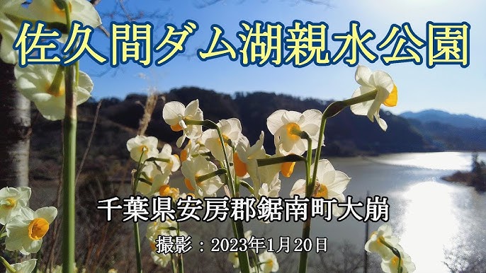 佐久間ダム湖親水公園千葉県安房郡のおすすめ観光・レジャースポット旅色