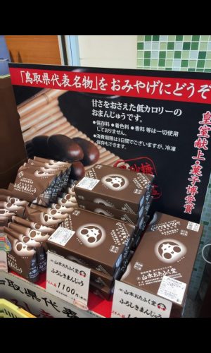 米子空港お土産の人気でおすすめお菓子やスイーツ一覧・お土産売り場も紹介 - おみや