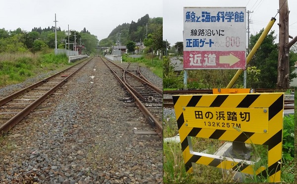 道東観光②～本土最東端の岬とアジア最東端の駅を制覇！～ - すまりんの てくてく