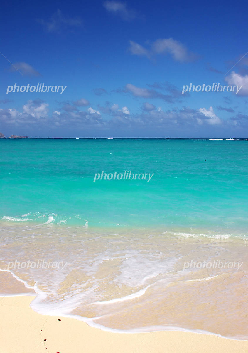 行かず嫌いもハマる！ハワイのおすすめ観光スポット39選TABIPPO.NET