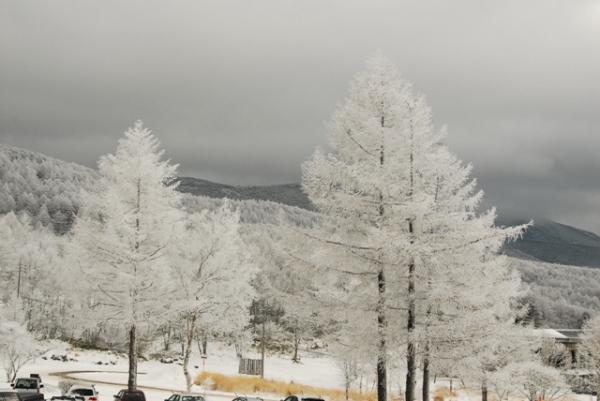 北八ヶ岳ロープウエイ