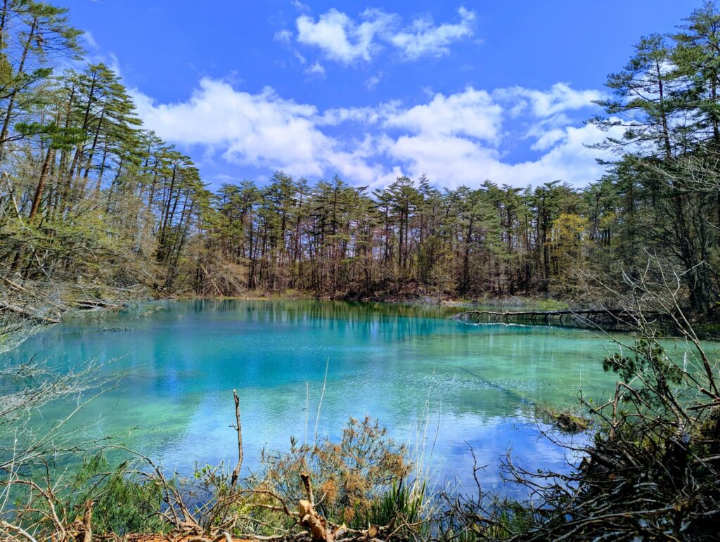 五色沼湖沼群の紅葉紅葉情報2025