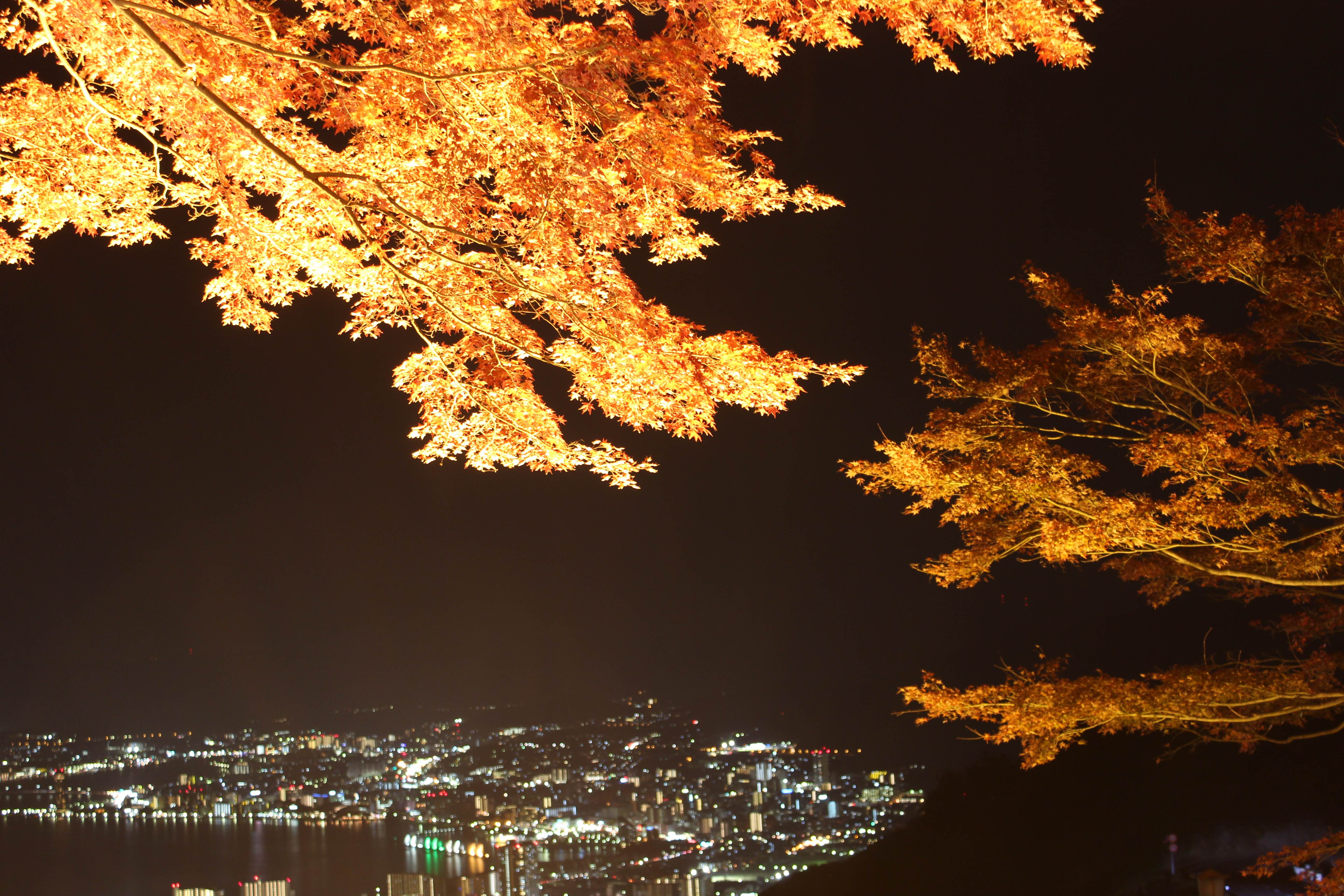 滋賀県のおすすめ夜景スポット7選！撮影ポイントやカメラ機材も紹介GOOPASS TRAVEL MAGAZINE