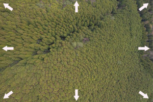 ドローンを使用したオルソ画像、測量について高知のオフィス作り.com