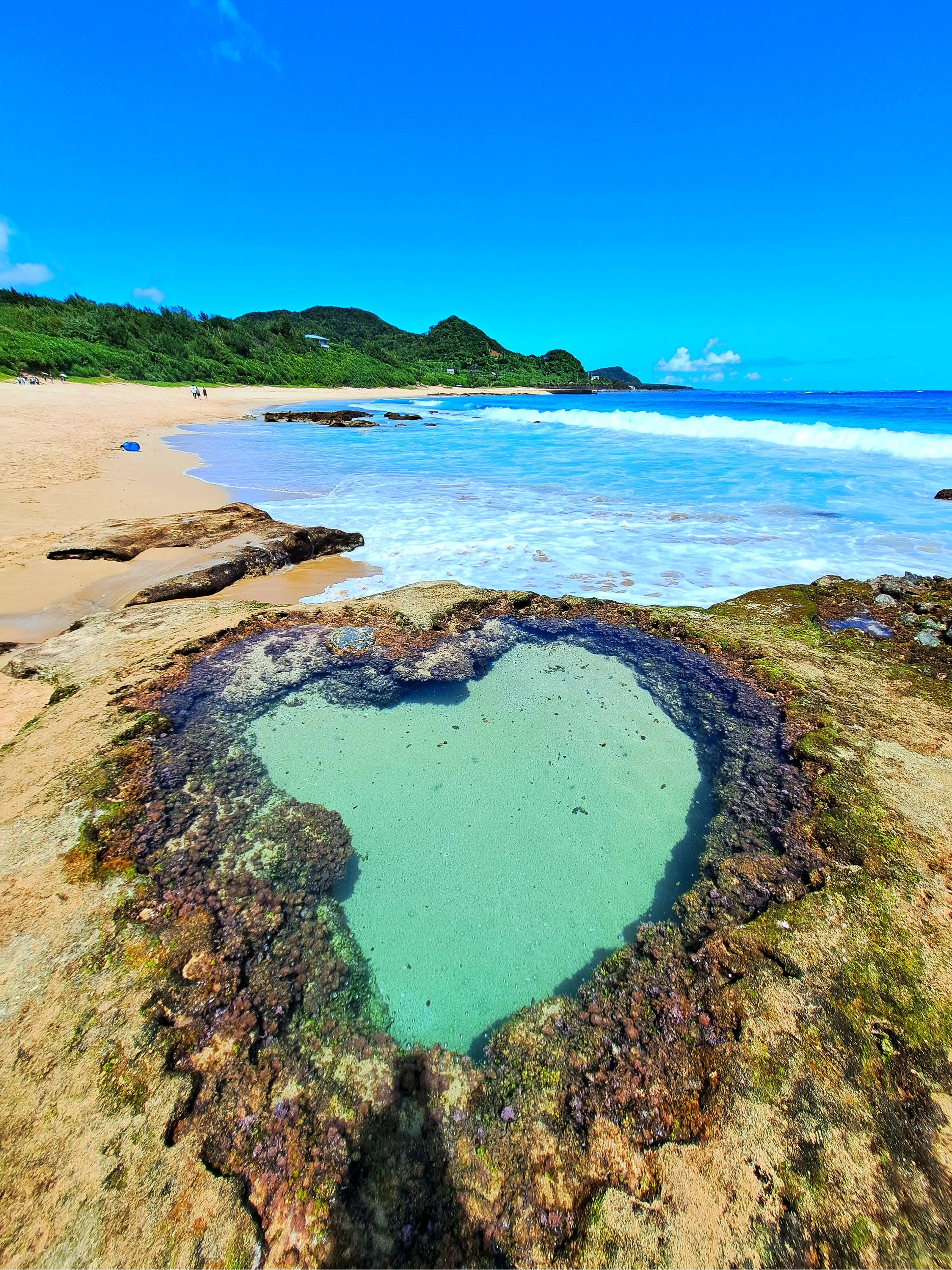 2024-2025冬遊び特集奄美大島・奄美群島 旅行の観光・オプショナルツアー予約 VELTRA