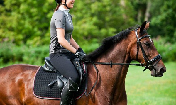 一生かけても使い切れないお金を手に入れたときの使い道ランキング 男女500人アンケート調査株式会社ビズヒッツのプレスリリース