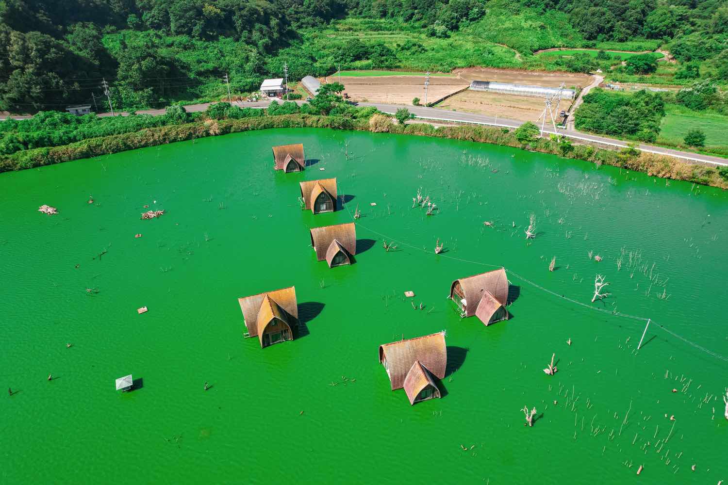 水没ペンション村 グリーンファーム跡牛窓で一泊したので宿から近いここに行ってみようと思いながらすっかり忘れて姫路に向かっていたら偶然通りかかったので撮ってみました。印象的だったのは大きな鳥の巣が幾つもあってこの一帯が鳥の棲家になってた事。 朝だった