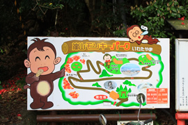 嵐山モンキーパーク！野生の猿のエサやりが大人気360@旅行ナビ