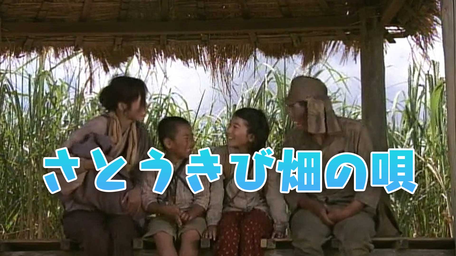 DVD・さとうきび畑の唄いとしこいし