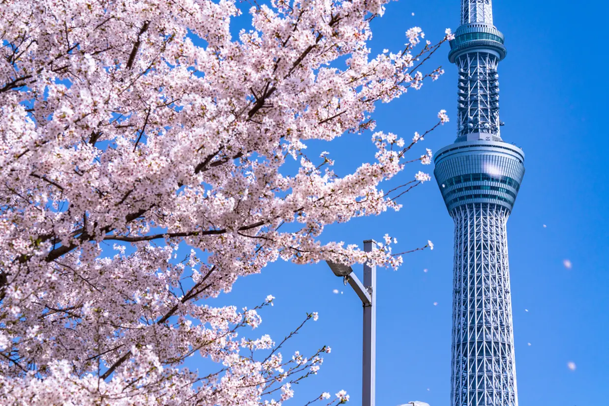 東京スカイツリーの観光ってどんな感じ？ソラマチと合わせて現地からお届けSPOT