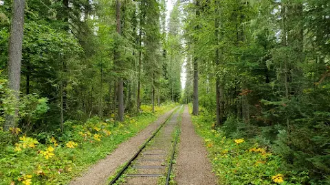 プリンス・アルバート1819-61- フランツ・ヴィンターハルターFeelTheArt