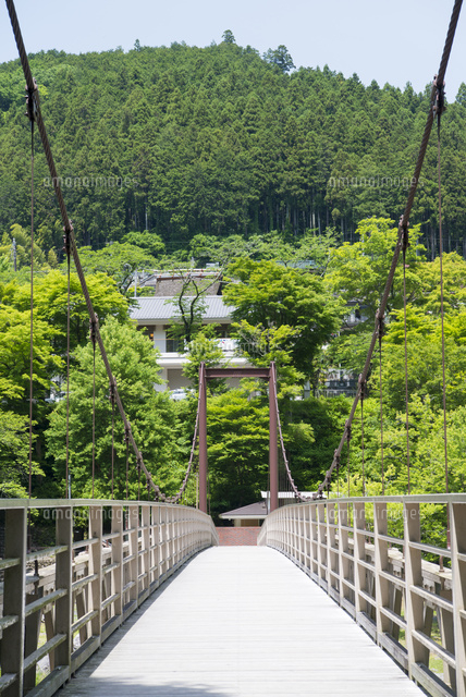 氷川渓谷 - PhotoMap