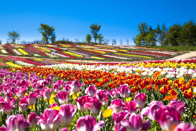 栃木 穴場の観光スポット30選！混雑を避けて楽しもう！2ページ目