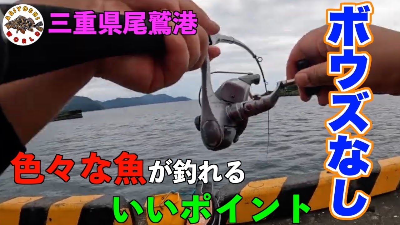 曽根港-紀伊半島磯釣り空撮情報