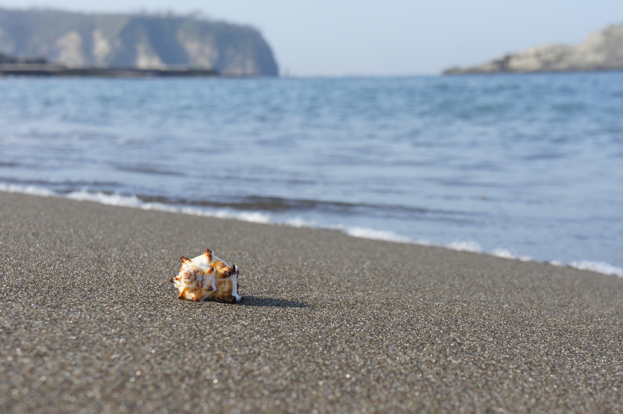 最新 関東 ピクニックに絶対おすすめのお出かけ人気穴場スポットランキング -