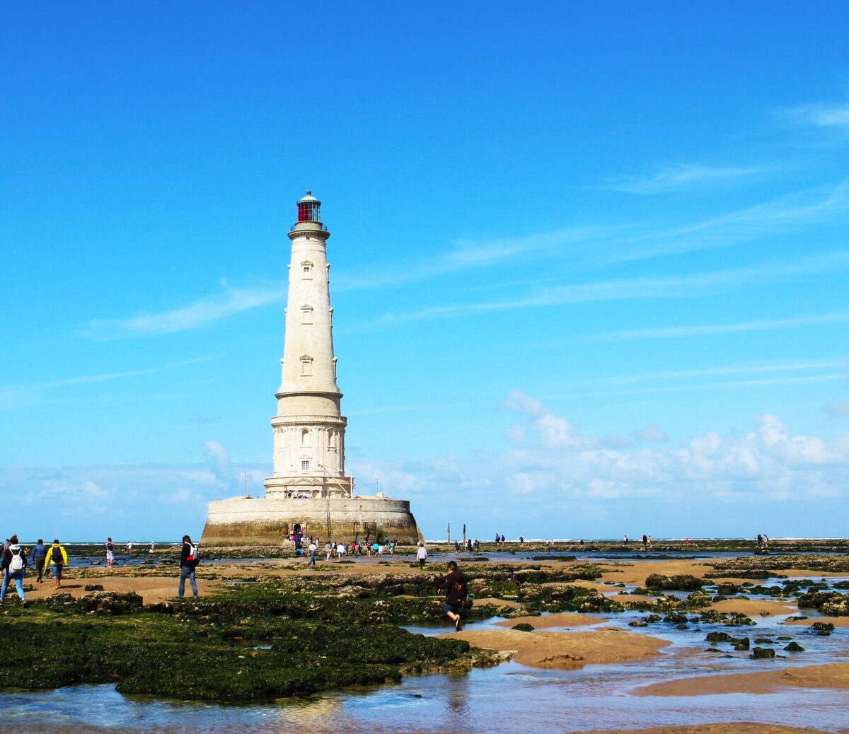 ラ・ジュマン灯台耳 ミミ とチャッピの布団 -